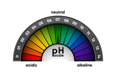 PH scale meter for acidic and alkaline solutions. Acid-base balance scale. Chemical test. Vector illustration.のイラスト素材