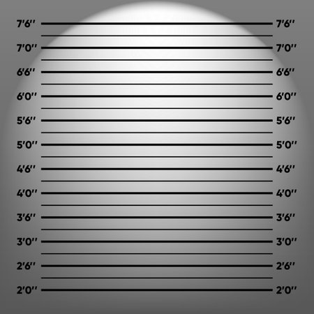 Police lineup mugshot background. Shot Up photo for arrest. Background for photos of the criminal. Mugshot concept. Vector illustration.のイラスト素材