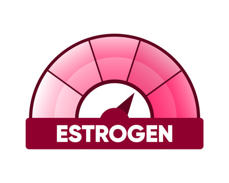 Meter of estrogen. Hormone level measuring scale. Molecular chemical formula of sex hormone. Female sex hormone. Vector illustration.のイラスト素材