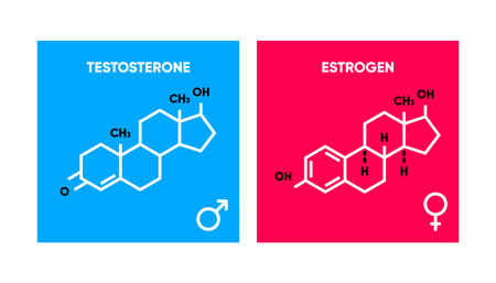 Symbol of estrogen and testosterone. Skeletal formula logos. Molecular chemical formula of sex hormones. Male and female sex hormone. Vector illustration.のイラスト素材