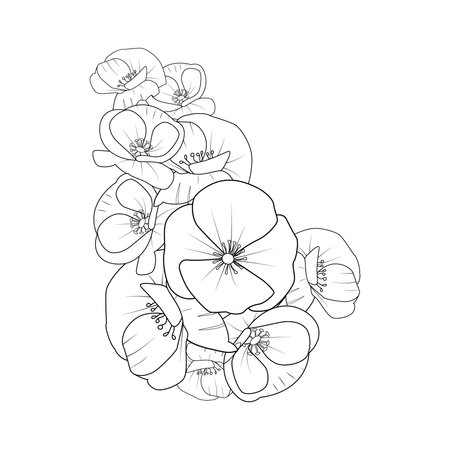 Elegant monochrome poppy flowers, design elements. Can be used for cards, invitations, banners, posters, print design. Floral background in line art styleのイラスト素材