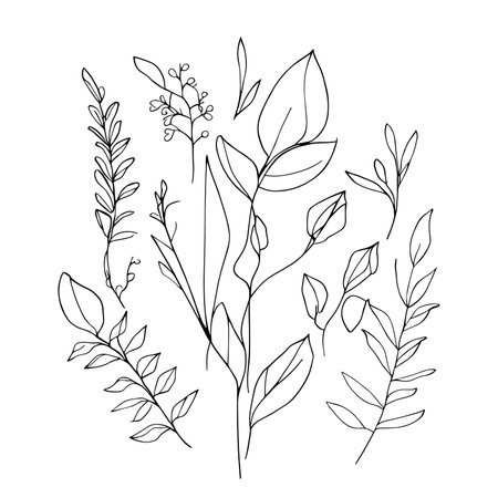 simple botanical drawings, simple botanical drawings, minimalist vintage botanical line drawing, hand-drawn botanical vectors, hand-drawn botanical design, botanical designsのイラスト素材