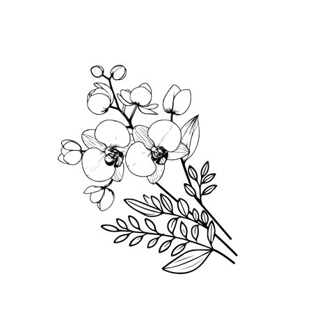 Elegant decorative branch with flowers, design elements. Can be used for cards, invitations, banners, posters, print design. Floral background in line art styleのイラスト素材