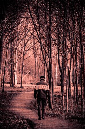 Forestの写真素材
