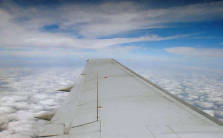    wing