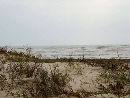    beach twoの写真素材