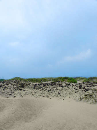          sand duneの写真素材