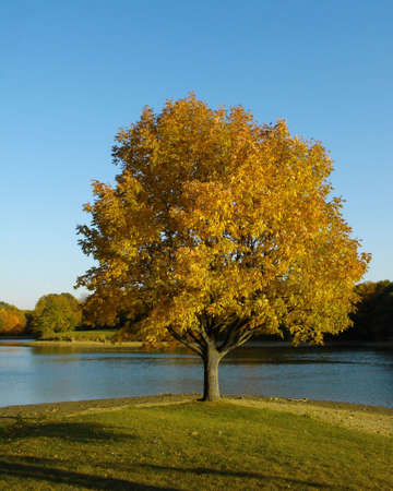                autum sevenの写真素材