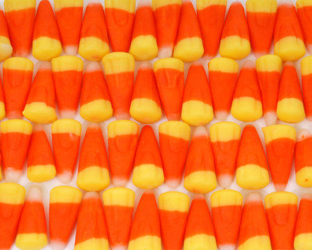 candy corn rowの写真素材