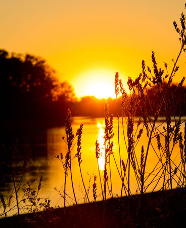 rising sun