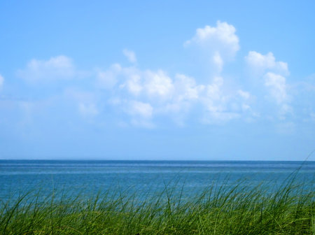        ocean view                        の写真素材
