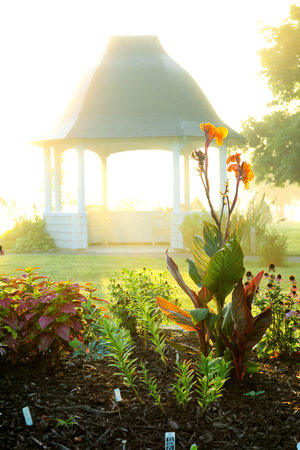 countryside morningの写真素材