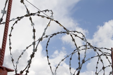 Barbed fence