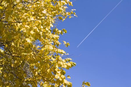 Track of plane on a blue skyの写真素材