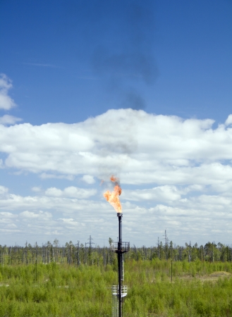 Oil industry and gas industry. Work of refinery petrochemical plant. Flame torchの写真素材