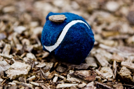 Blue ballの写真素材