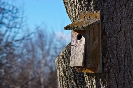 A bird house at a nature preserveの写真素材