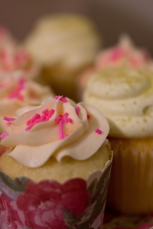Vanilla cupcakes with white frosting icingの写真素材