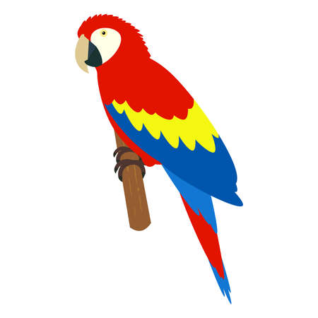 Illustration of a Scarlet macawのイラスト素材