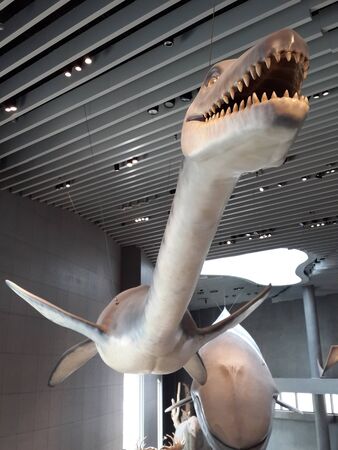 Shanghai Natural History Museumのeditorial素材