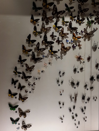 Shanghai Natural History Museumのeditorial素材