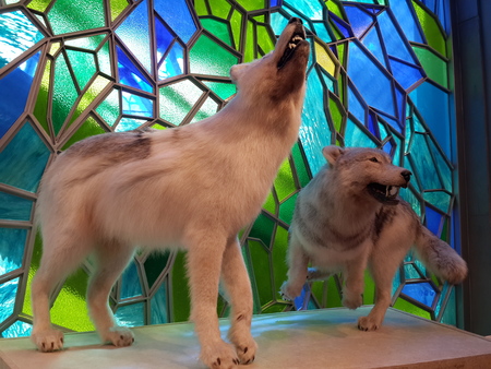 Shanghai Natural History Museumのeditorial素材