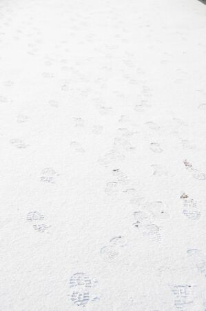 snow scene