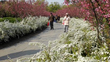 parkのeditorial素材