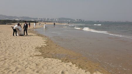 When the oyster Island Parkのeditorial素材