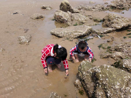 children playing at the beachのeditorial素材