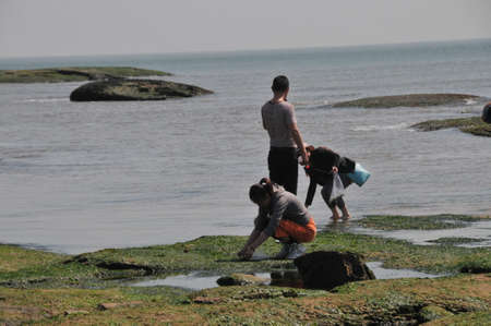 coastal scenic sea lighthouse squareのeditorial素材