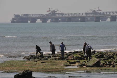 coastal scenic sea lighthouse squareのeditorial素材