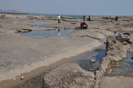 coastal scenic sea lighthouse squareのeditorial素材