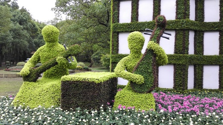 Shanghai Chrysanthemum Exhibition 2016のeditorial素材