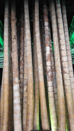 China Bamboo Museumのeditorial素材