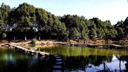 China Bamboo Expo Gardenのeditorial素材