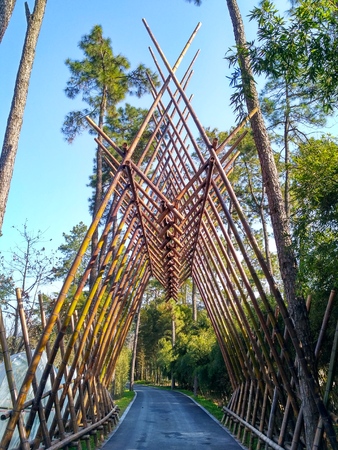 China Bamboo Expo Gardenのeditorial素材