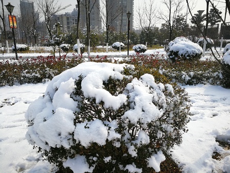 Beautiful snow at street