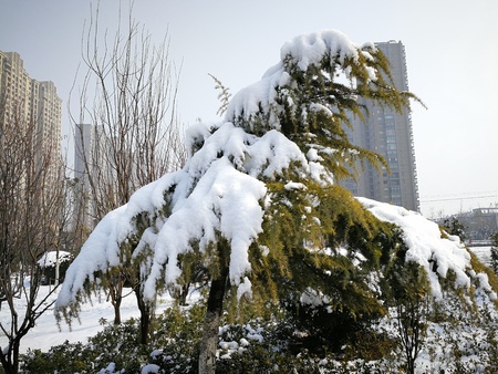 Heavy snowfall in the Middle Eastの写真素材