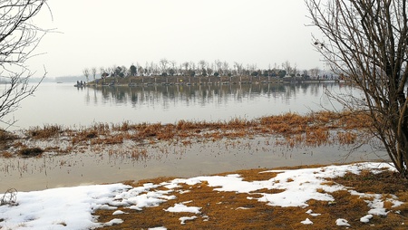 Beautiful snowの写真素材