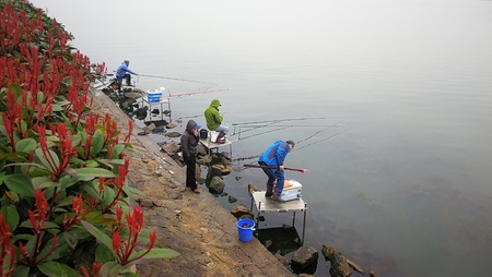 Taihu Wuxi fishingのeditorial素材