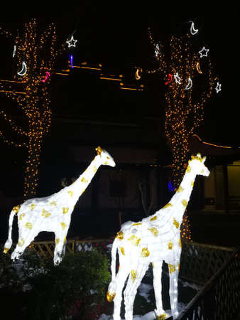 Zhenjiang Xijindu Lantern Festivalのeditorial素材