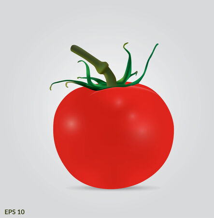 Vector Red tomato with green leaves on its headのイラスト素材