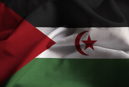 Closeup of Ruffled Sahrawi Arab Democratic Republic Flag, Sahrawi Arab Democratic Republic Flag Blowing in Windの写真素材