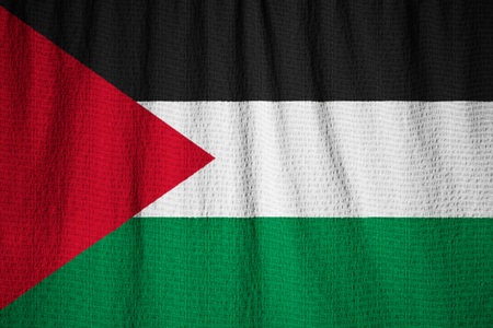 Closeup of Ruffled Palestinian Flag, Palestinian Flag Blowing in Windの写真素材