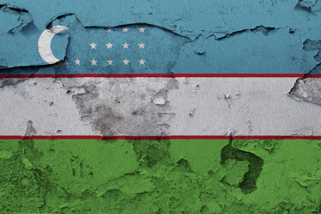 Painted national flag of Uzbekistan on a concrete wallの写真素材