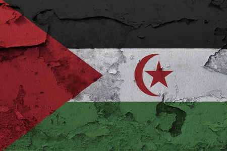 Painted national flag of Sahrawi Arab Democratic Republic on a concrete wallの写真素材