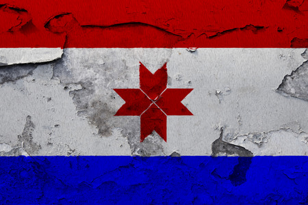 Painted national flag of Mordovia on a concrete wallの写真素材