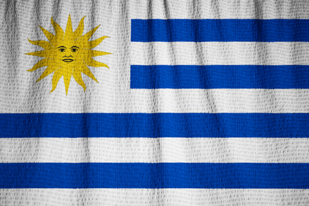 Closeup of Ruffled Uruguay Flag, Uruguay Flag Blowing in Windの写真素材