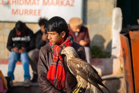 Islamabad, Islamabad Capital Territory, Pakistan - February 05, 2020, A young boy is sitting by the road with his trained falcon.のeditorial素材